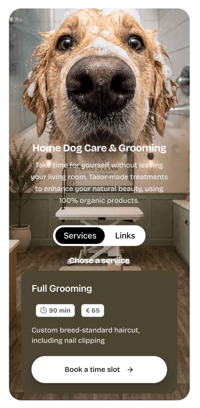 Dog care storefront